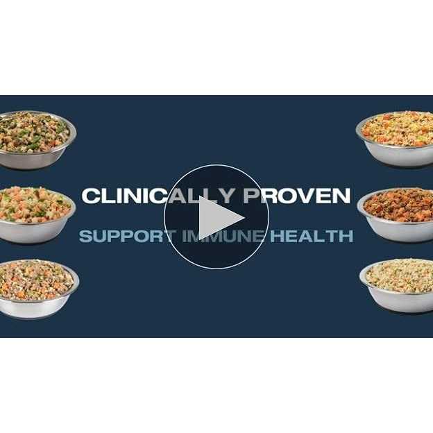 Fresh Frozen Dog Food L793