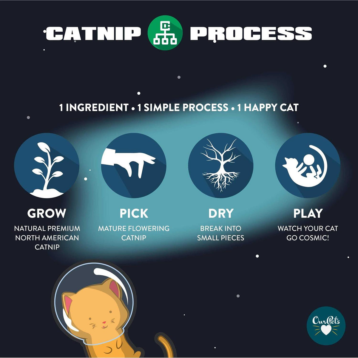 Catnip Q52399