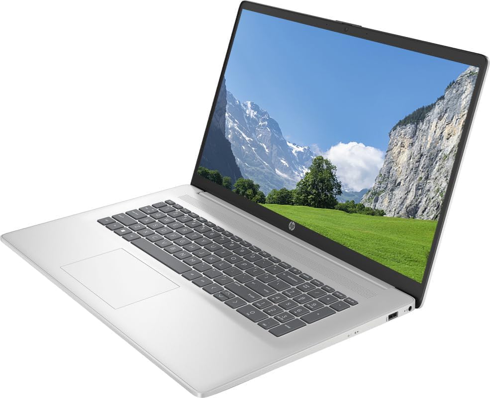 17.3'' FHD Widescreen Laptop with Intel 6-Core i3-1215U, 8GB DDR4, 1TB SSD, Natural Silver W78929