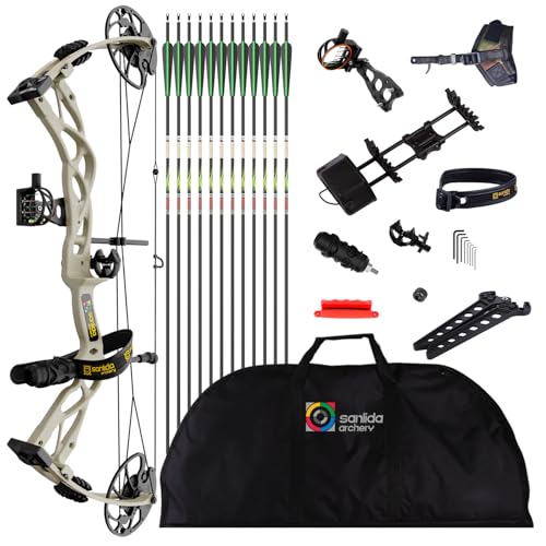 Compound Bow and Arrow Set, 0-70 Lbs Draw Weight C2434