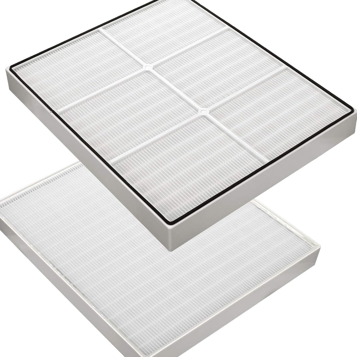 1 True HEPA Filter + 4 Carbon Filters Pack of 2 P510561