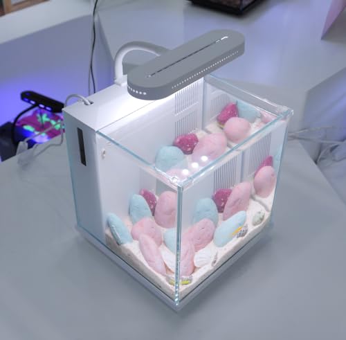 2 Gallon Small Glass Desktop Fish Tank with LED Light and Water Pump Filter E9908