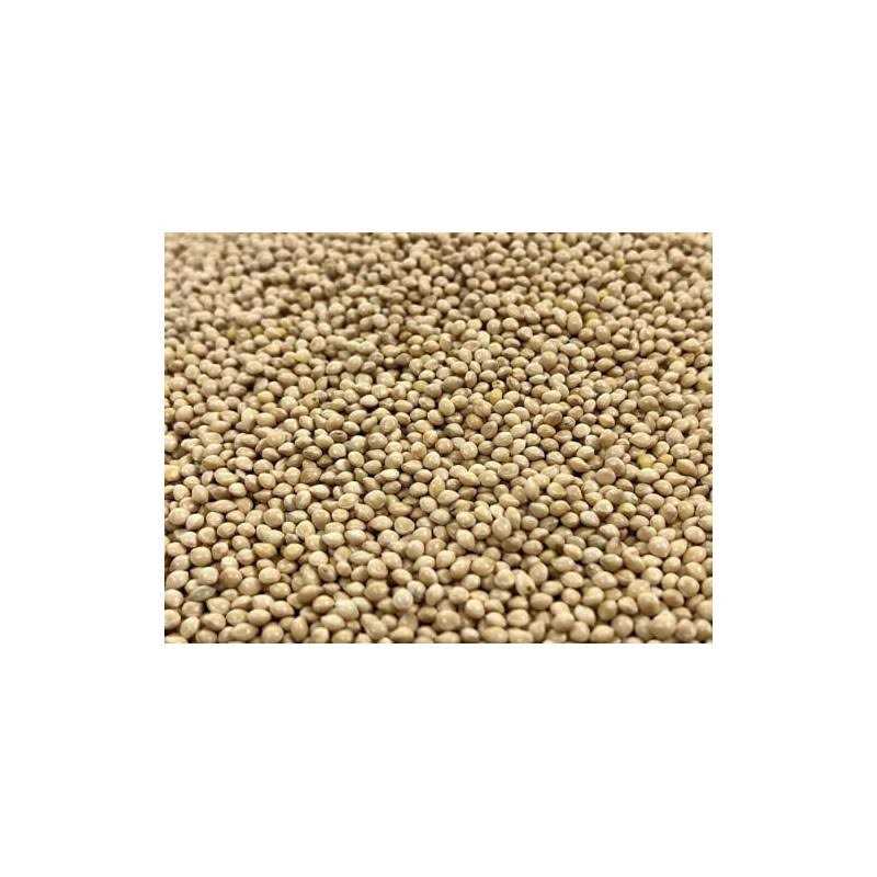 White Proso Millet Bird Seed 10lbs G81483