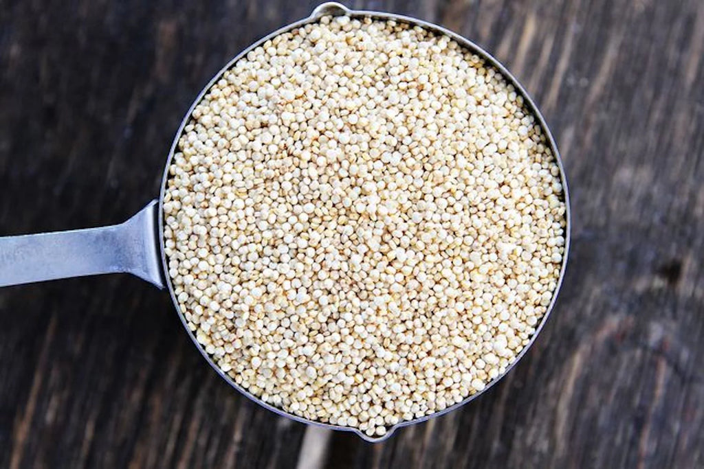 White Quinoa Seeds 5 Pound T64648