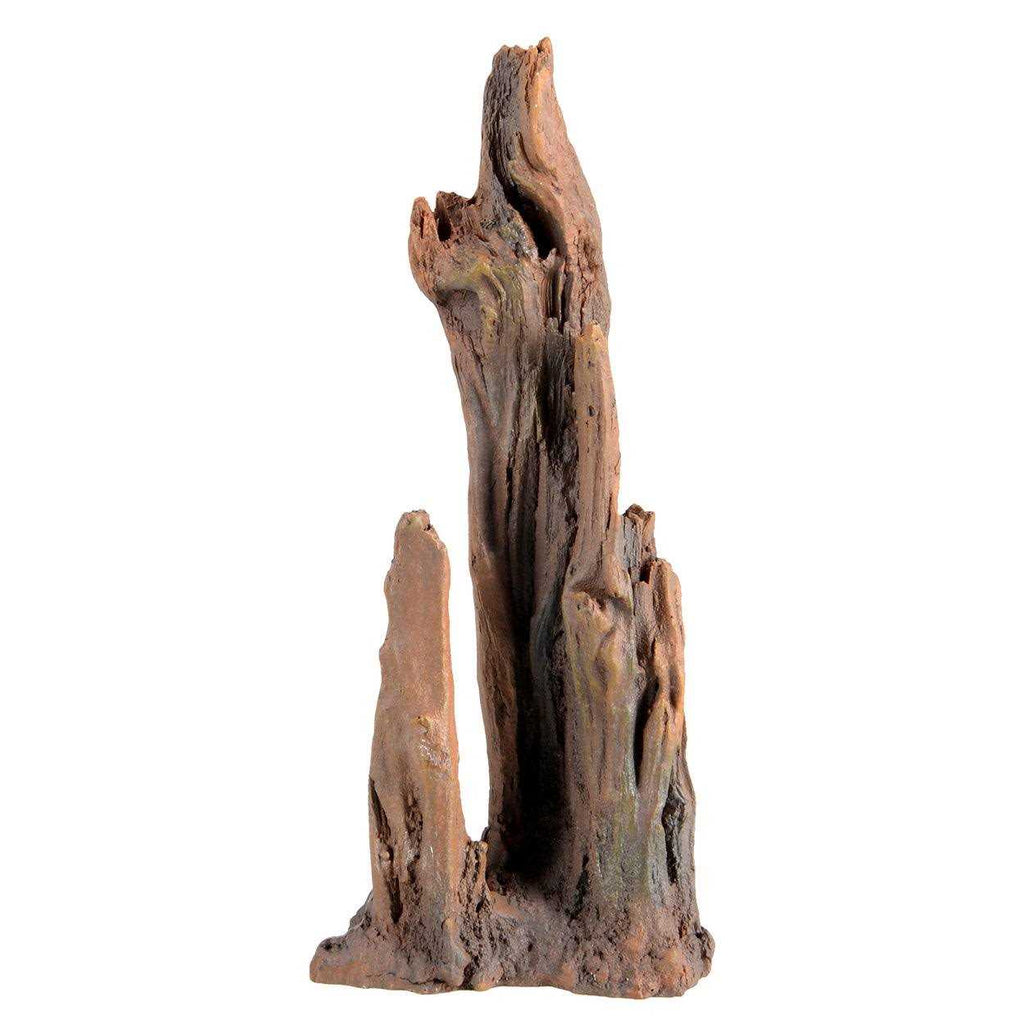Petrified Wood U82832