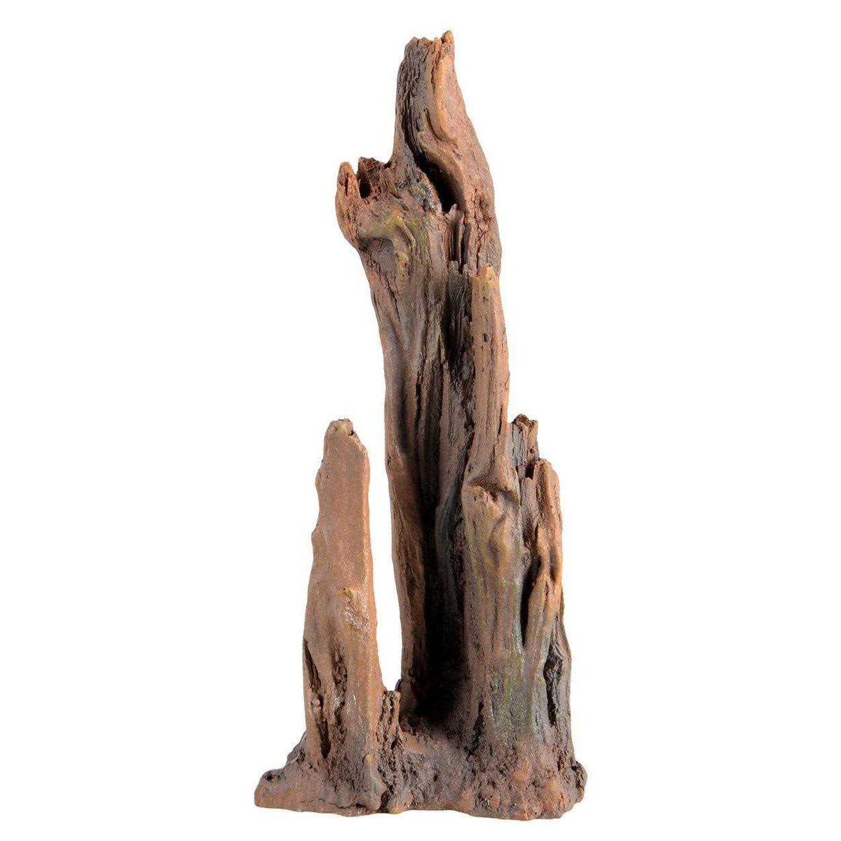 Petrified Wood U82832