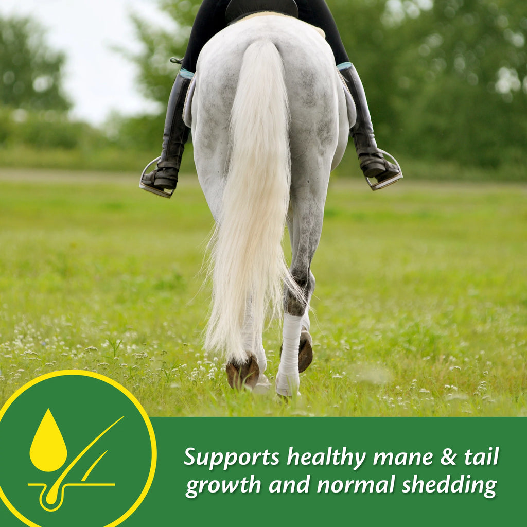 Horse Skin & Coat Supplement 5 Pound O92852