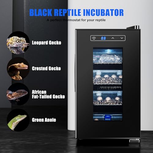 23L Digital Reptile Egg Incubator with UV-Resistant Glass Door B50799