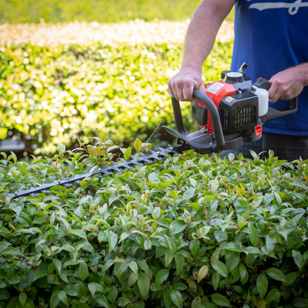 26cc 2-Cycle Gas Hedge Trimmer 24x22 Double-Sided Blades H1916