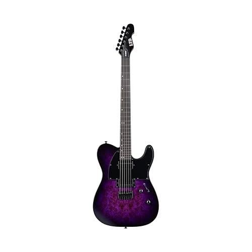 Purple Burst Electric Guitar D5965