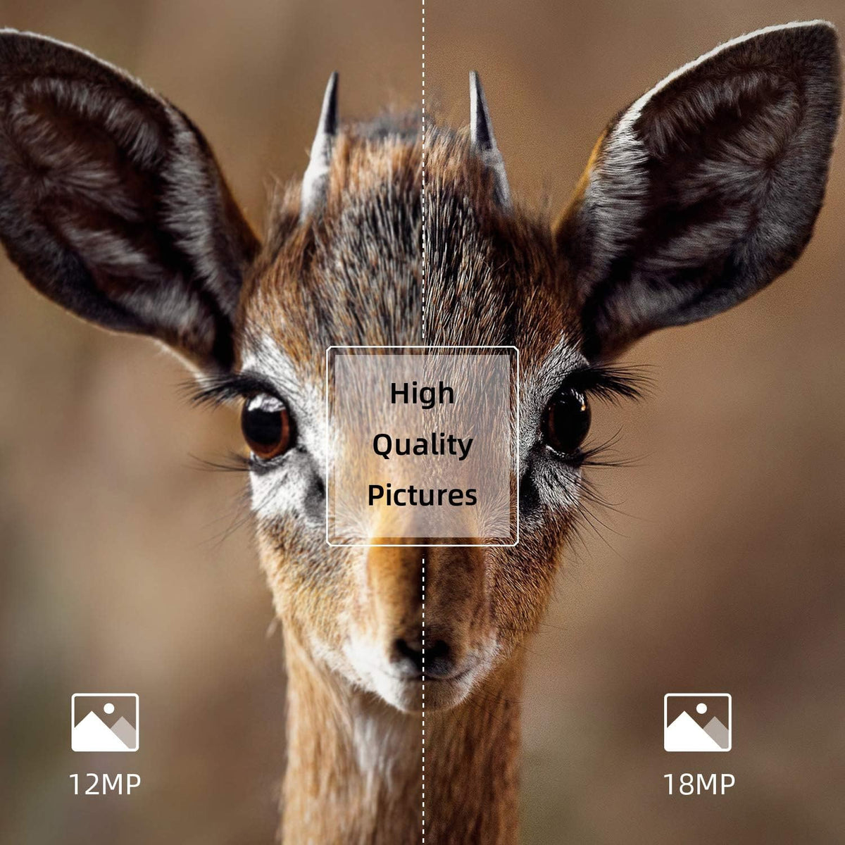 2 Pack 18MP 1080P Trail Game Camera with Night Vision V30496