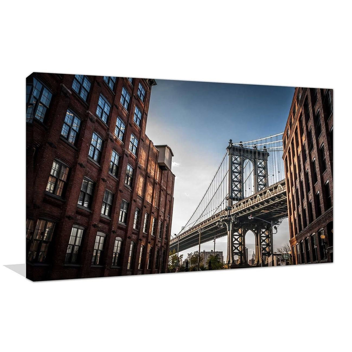 Framed Print on Canvas D8952