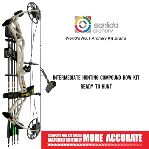 Compound Bow and Arrow Set, 0-70 Lbs Draw Weight C2434