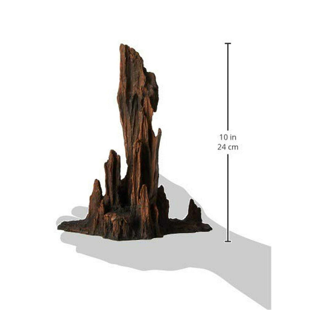 Petrified Wood U82832