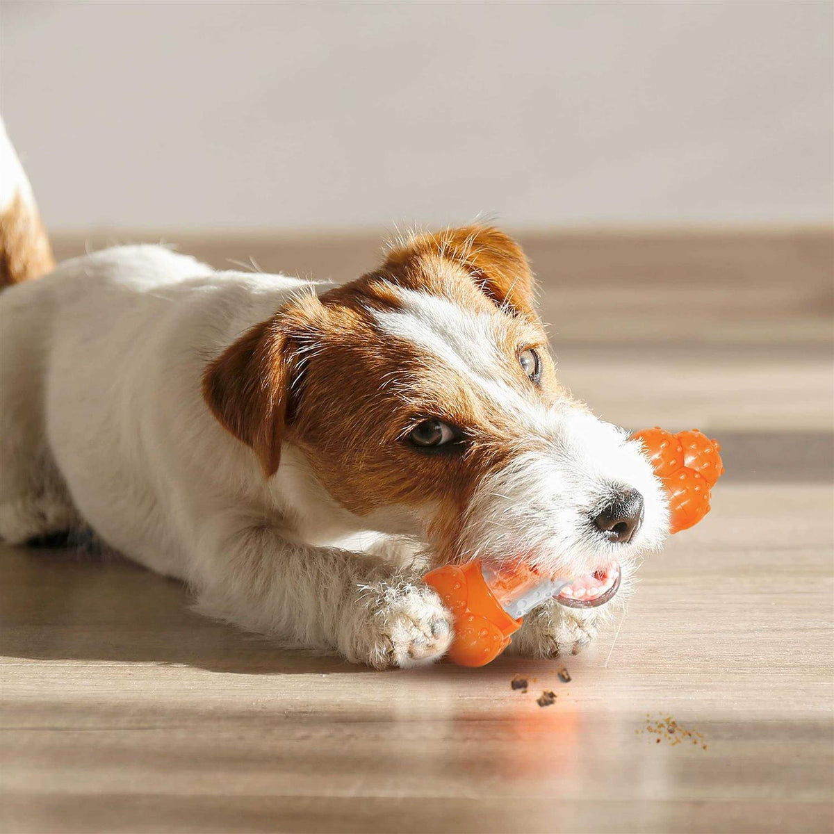 Bacon Dog Toy W10487