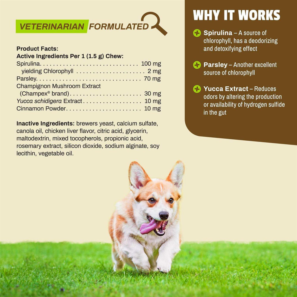 Breath Bites for Dogs N1042