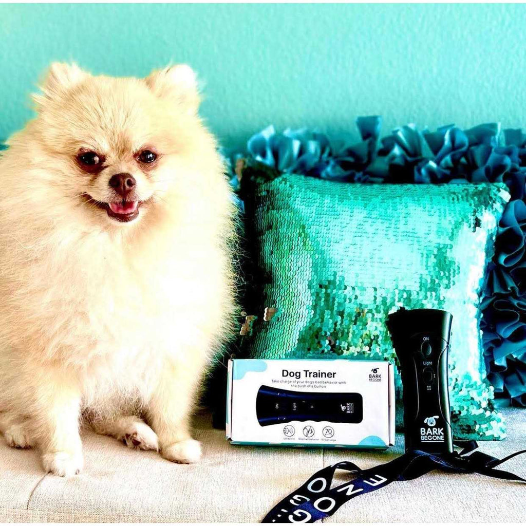 Ultrasonic Dog Trainer C728