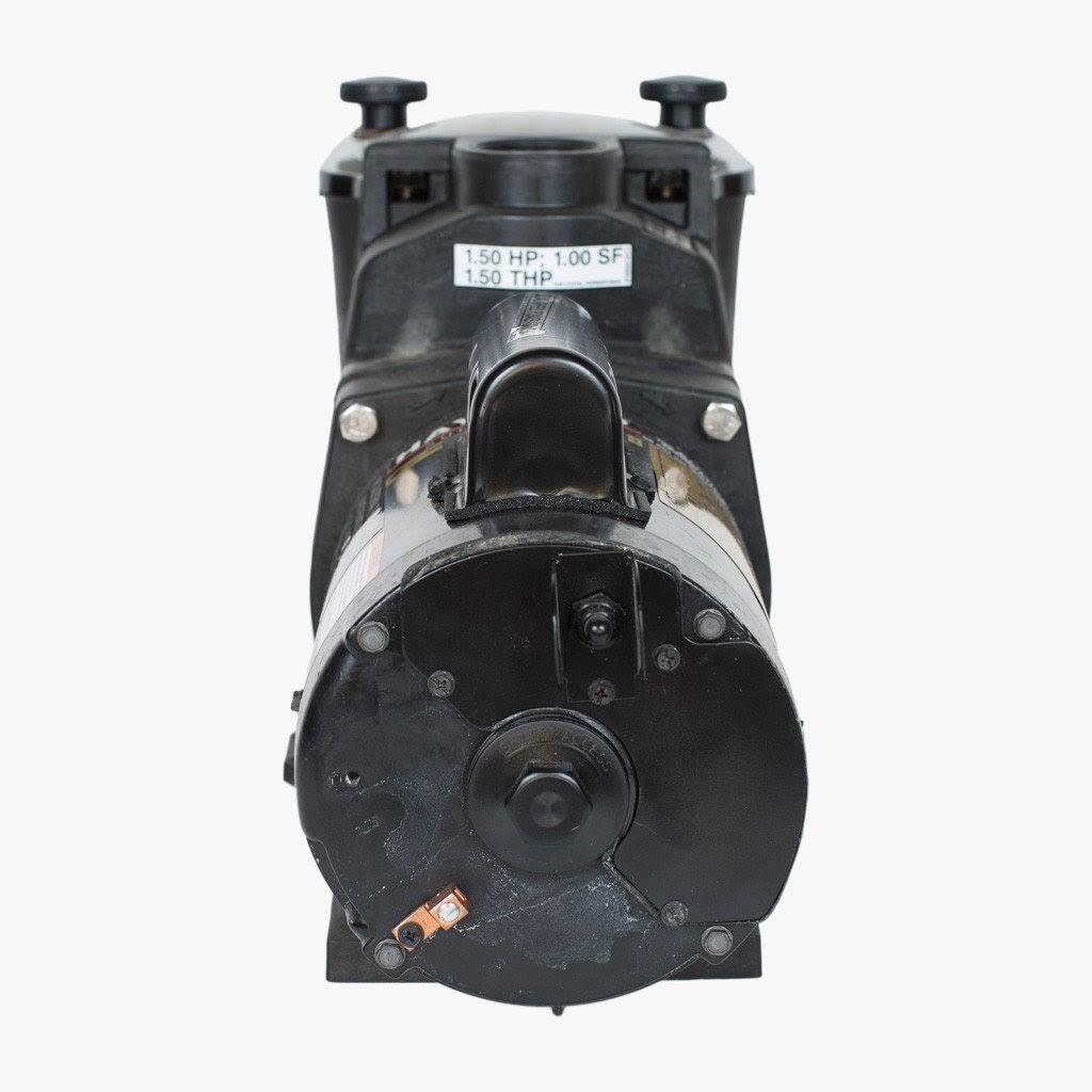 2 HP Dual Speed Pump Y86748