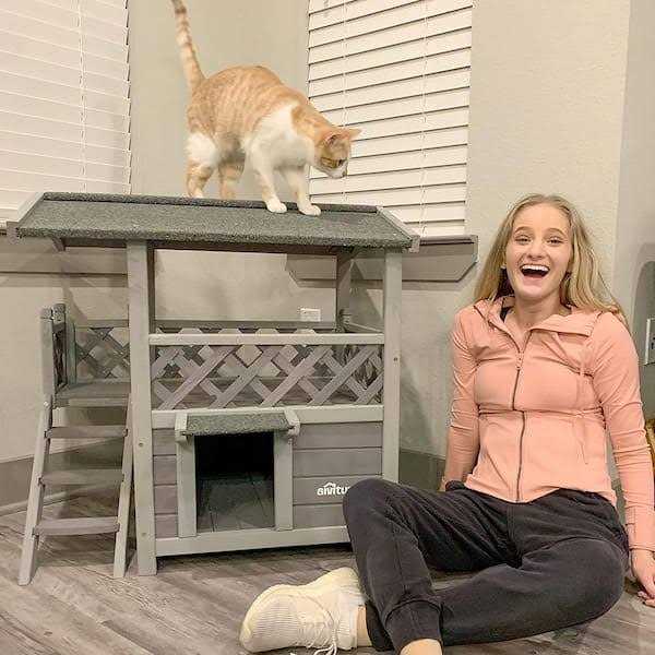 Outdoor & Indoor Cat House T6266