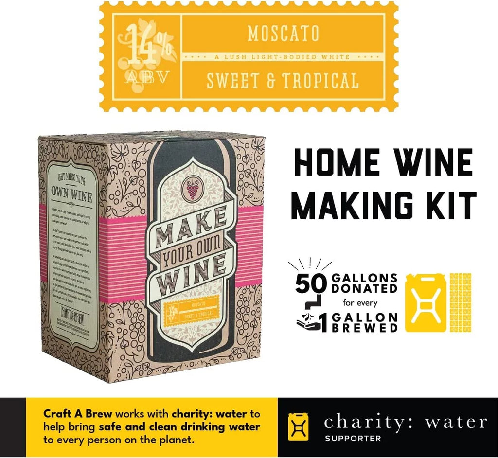 1 Gallon Wine Making Kit C1977