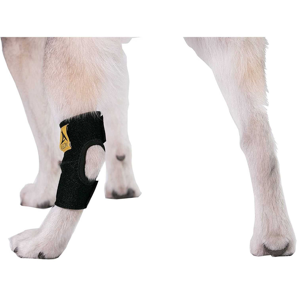 Dog Rear Hock Joint Brace Compression Wrap With Straps N292