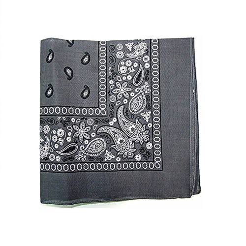 120 Paisley Polyester Double Sided Bandanas K6113