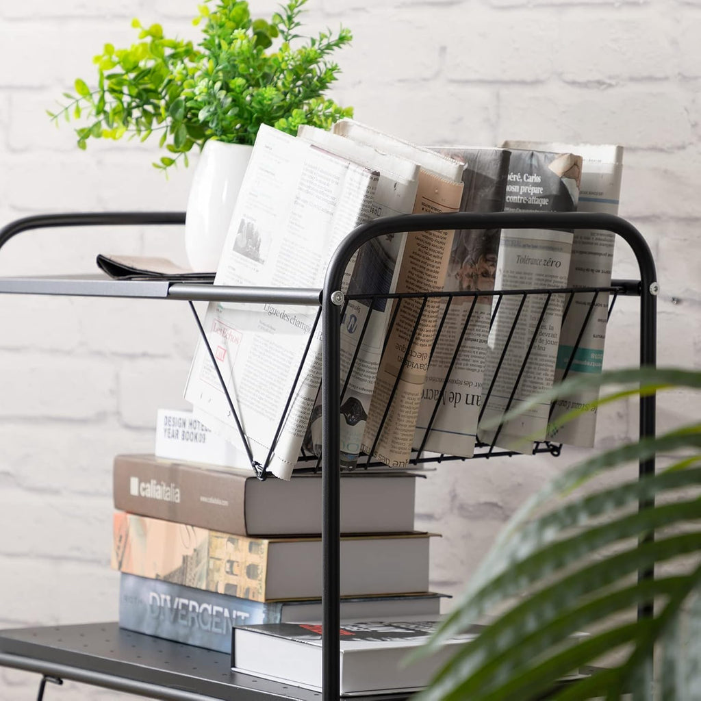2 Tier Rolling Metal Mesh Storage Cart with Wheels, Black A27064