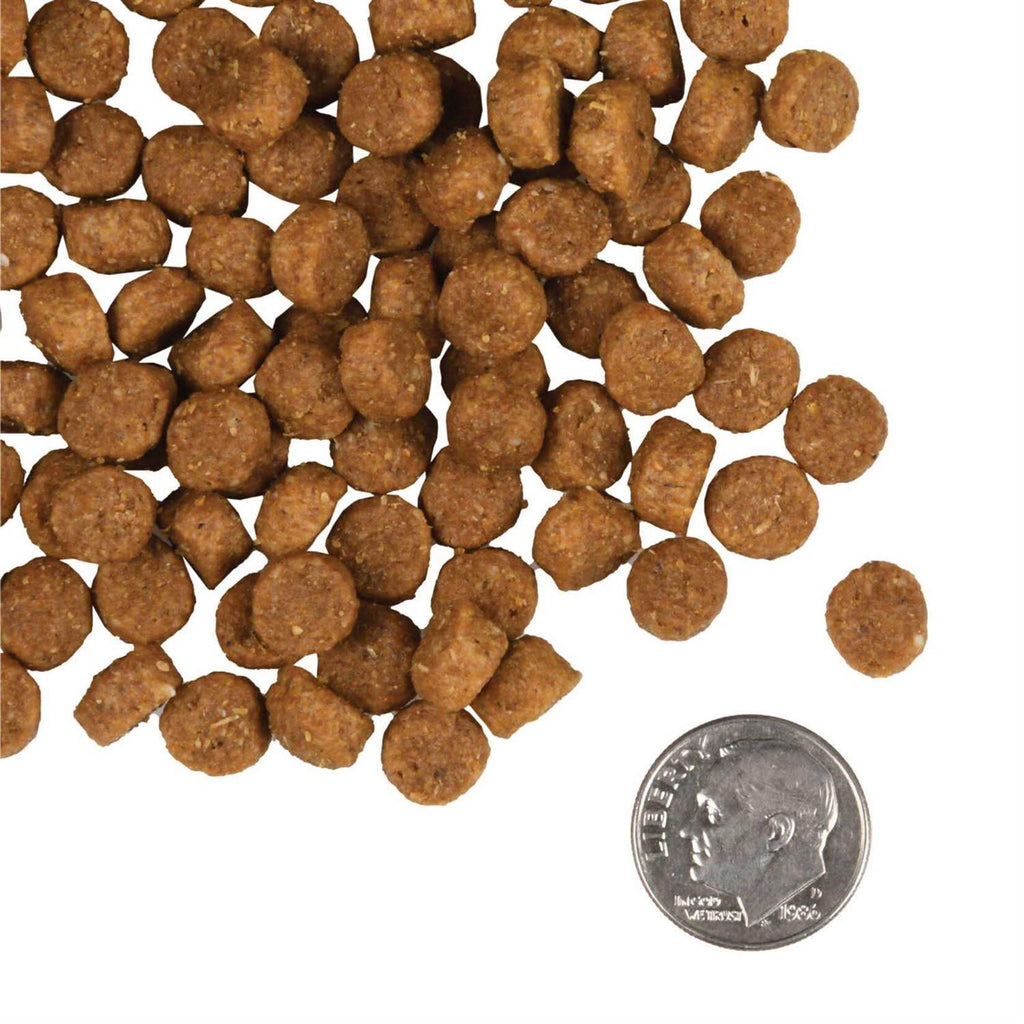 Dog Food U223518
