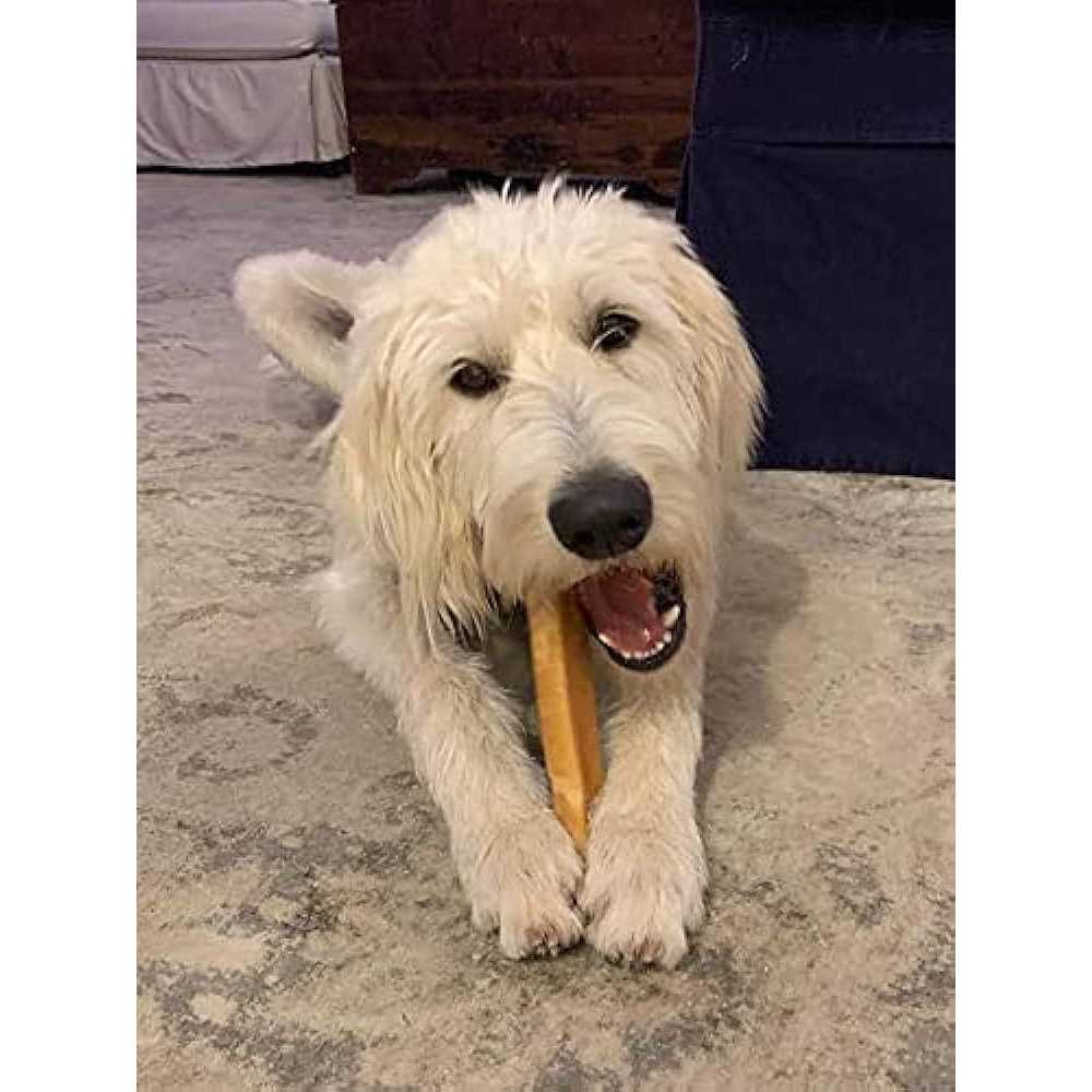 Himalayan Yak Cheese Dog Chew XL N411800