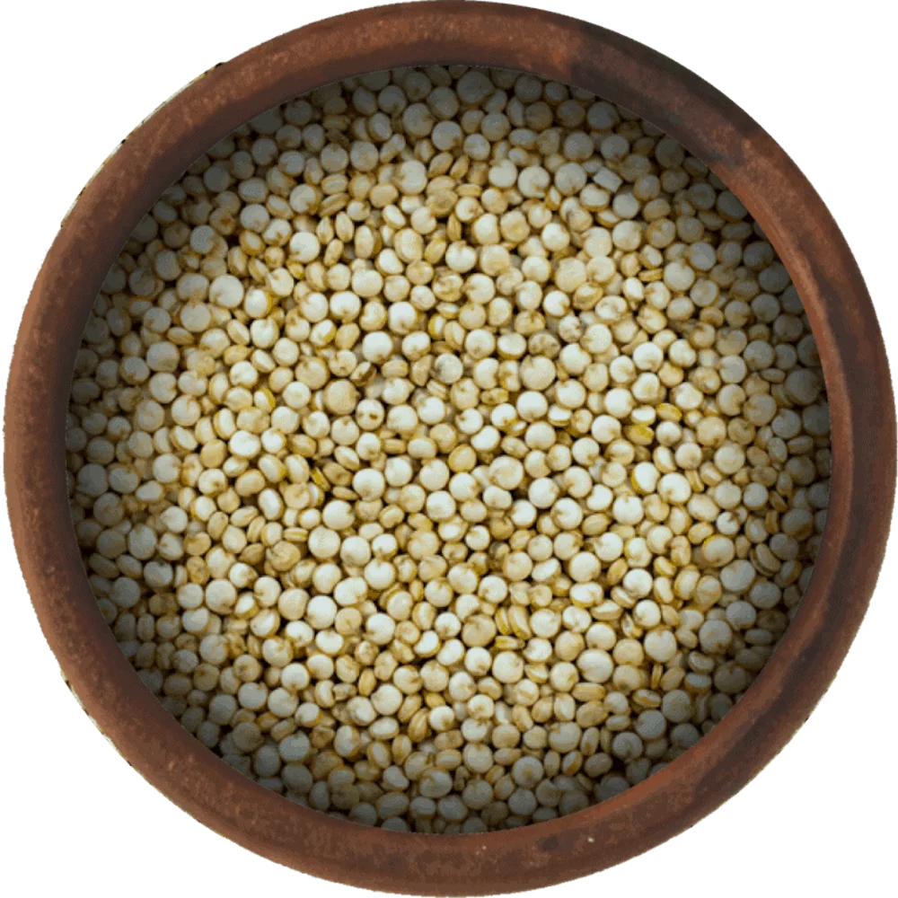White Quinoa Seeds 5 Pound T64648