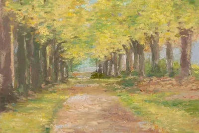 Fall Path III Print Canvas Art F735899