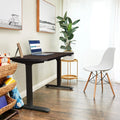Electric Standing Desk 48 x 24 Inches Height Adjustable Z154