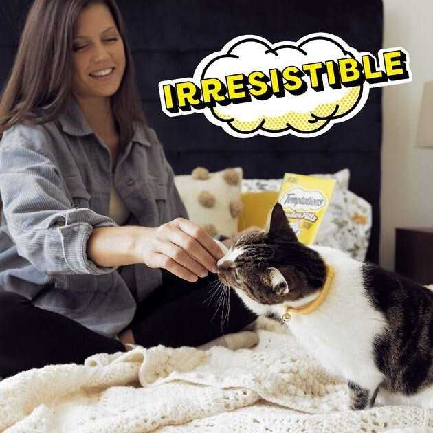 Adult Cat Treats U2331